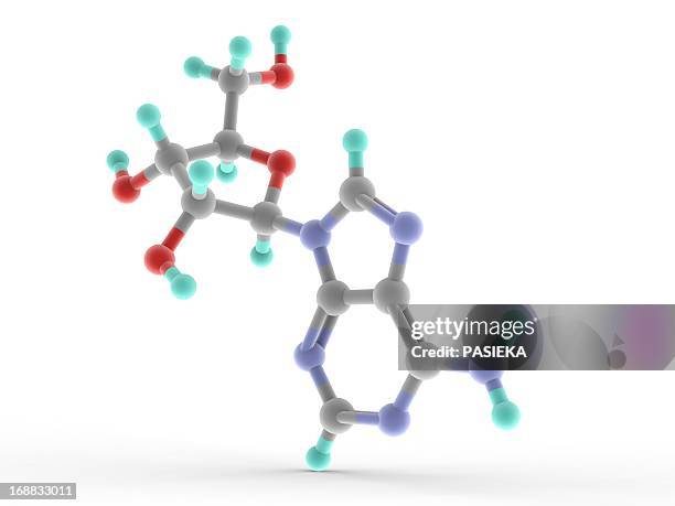 adenosine molecule - nucleotide stock illustrations