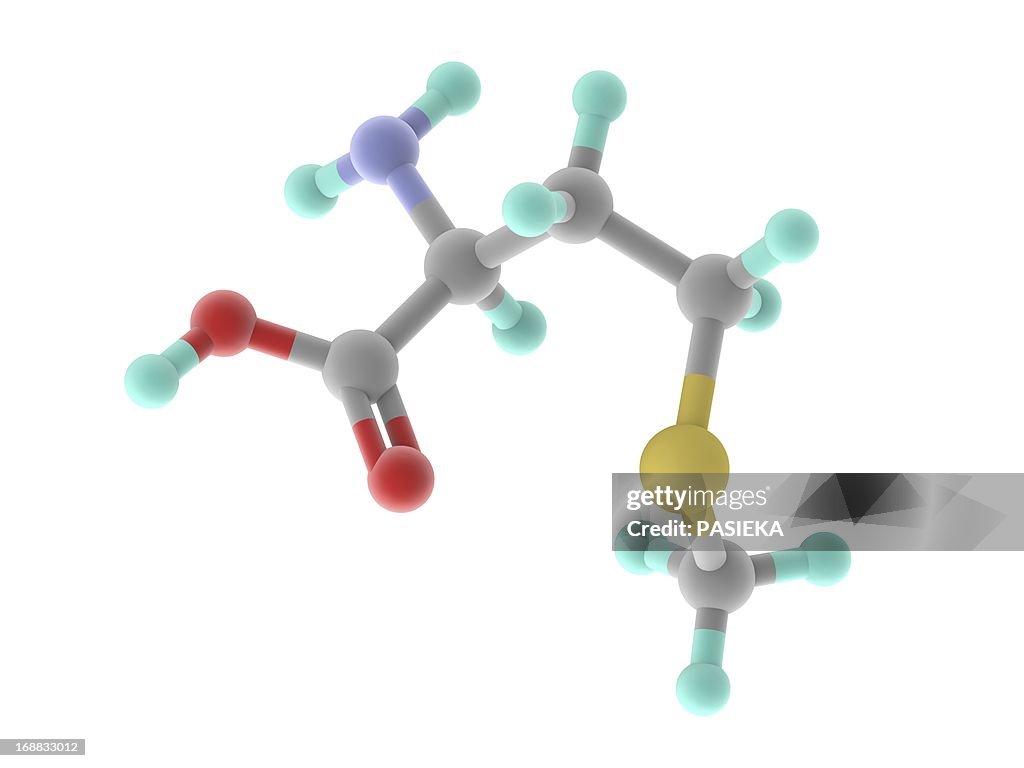 Methionine molecule
