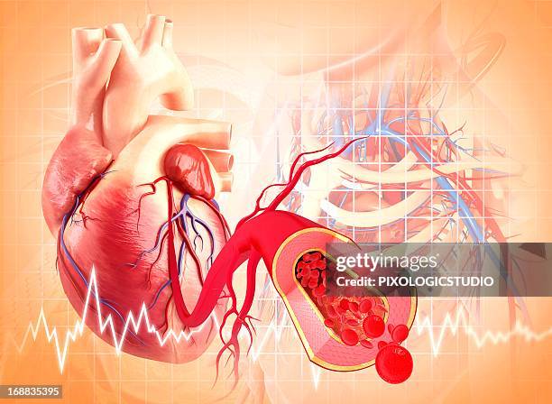 human heart, artwork - carotid artery stock illustrations