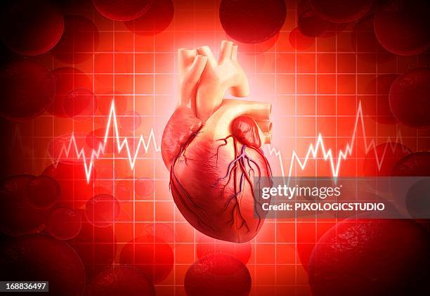 stockillustraties, clipart, cartoons en iconen met human heart, artwork - menselijk hart