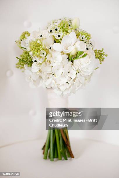 a wedding bouquet. white cut flowers, green seed heads, and foliage. green stems and white ribbon. - utah wedding stock pictures, royalty-free photos & images