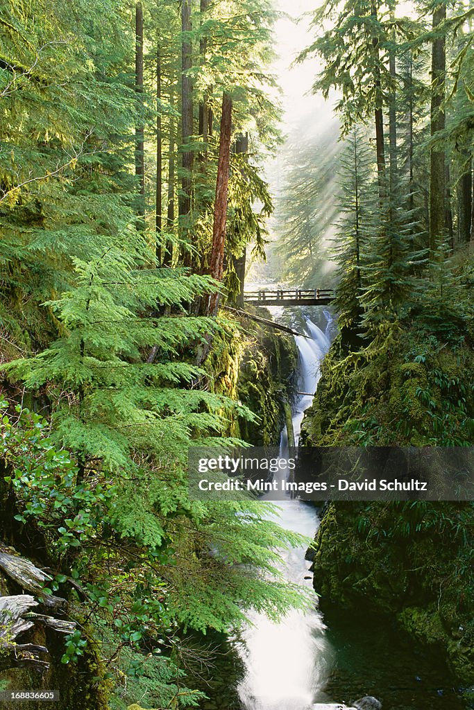 Sol Duc Falls are in the forest of Olympic National Park, Washington State.