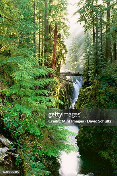sol duc falls are in the forest of olympic national park, washington state. - olympic national park stock pictures, royalty-free photos & images