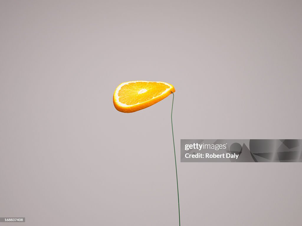 Fatia de laranja Flutuante