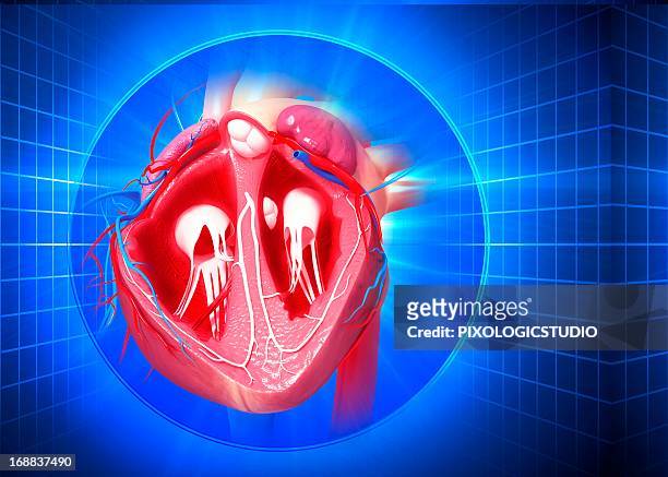 human heart, artwork - coronary artery点のイラスト素材／クリップアート素材／マンガ素材／アイコン素材