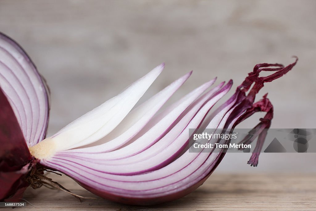 Onyon Close Up Of Sliced Red Onion High-Res Stock Photo - Getty Images