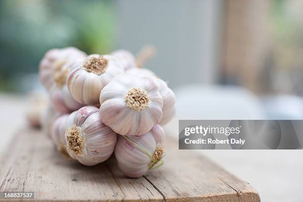 close up of purple garlic - garlic stock pictures, royalty-free photos & images
