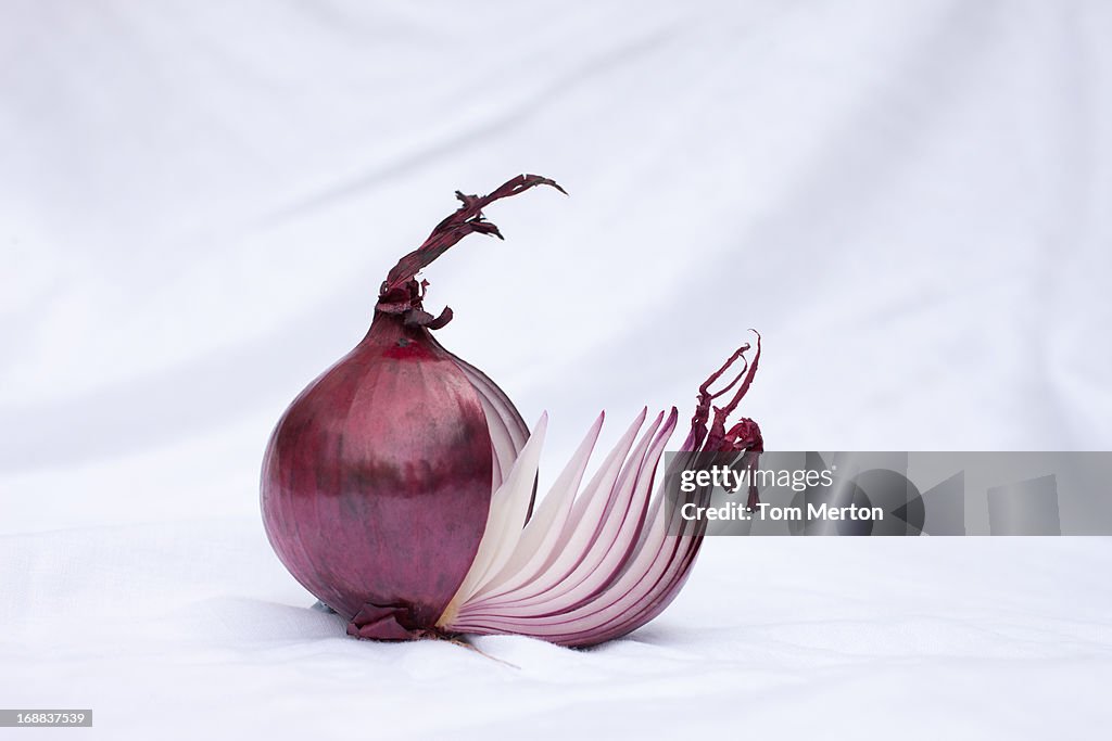 Close up of sliced red onion