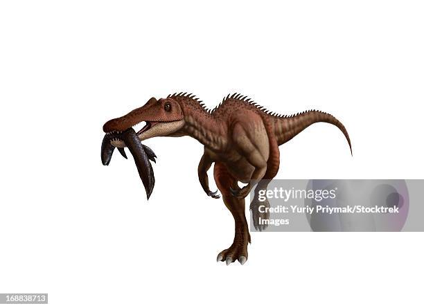 stockillustraties, clipart, cartoons en iconen met a baryonyx dinosaur with a fish in mouth, white background. - scavenging