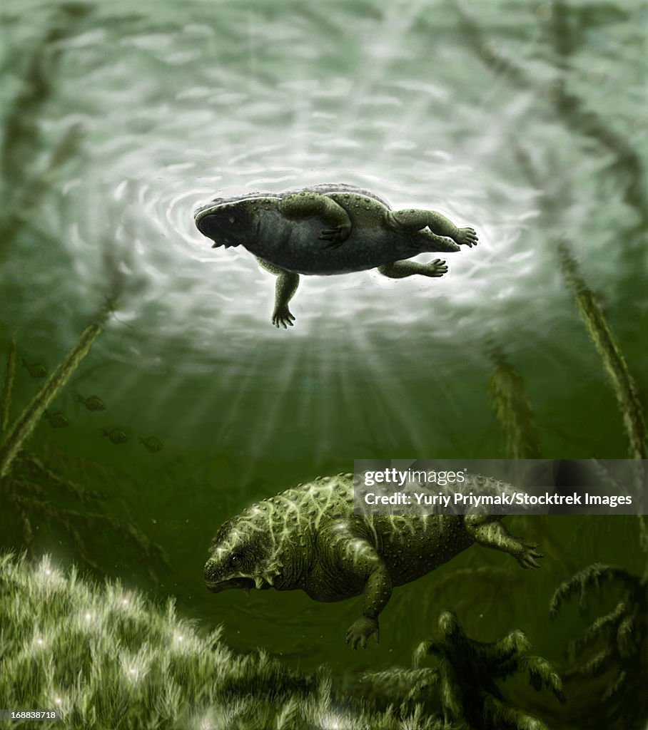 Scutosaurus karpinskii in prehistoric waters.