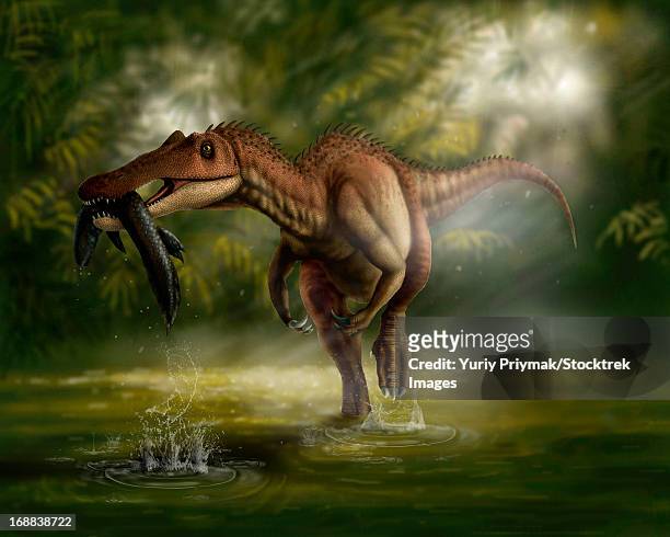 stockillustraties, clipart, cartoons en iconen met a baryonyx dinosaur catches a fish out of water in the cretaceous period. - scavenging
