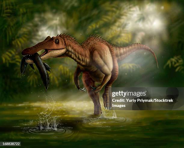 a baryonyx dinosaur catches a fish out of water in the cretaceous period. - food fail stock illustrations