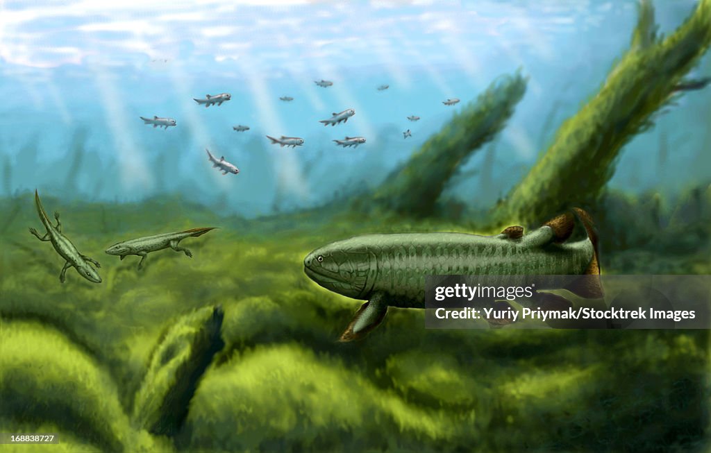 Holoptychius nobilissimus, Tulerpeton and Moythomasia, all prehistoric fish from the Devonian period.