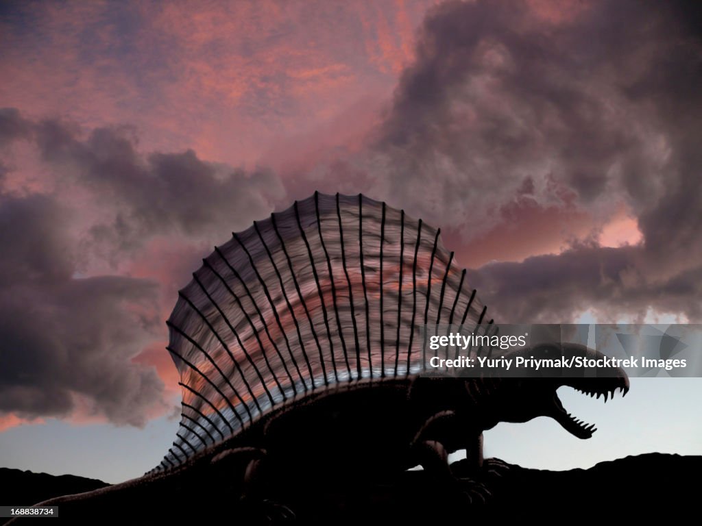Dimetrodon limbatus, a prehistoric animal that lived during the Early Permian stage of the Paleozoic Era.