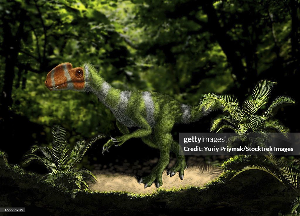 Kileskus aristotocus of the Middle Jurassic Period.