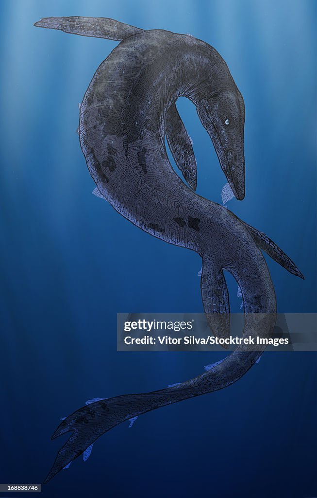 Tylosaurus, a giant marine squamata shedding its skin.
