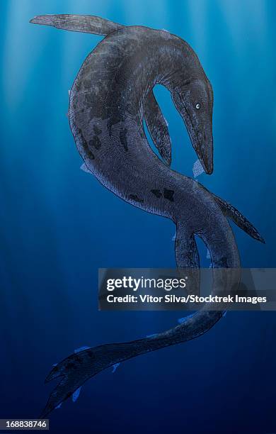 Tylosaurus A Giant Marine Squamata Shedding Its Skin High-Res Vector Graphic