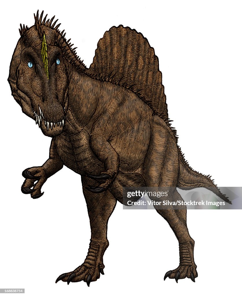Oxalaia, huge Brazilian spinosaurid from the Late Cretaceous Period.