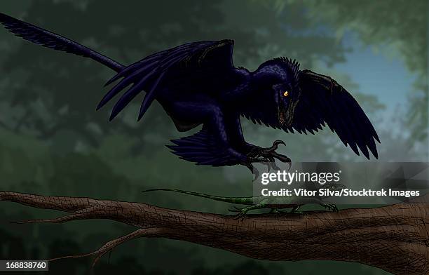 microraptor hunting a small lizard on a tree branch. - dromaeosauridae 幅插畫檔、美工圖案、卡通及圖標