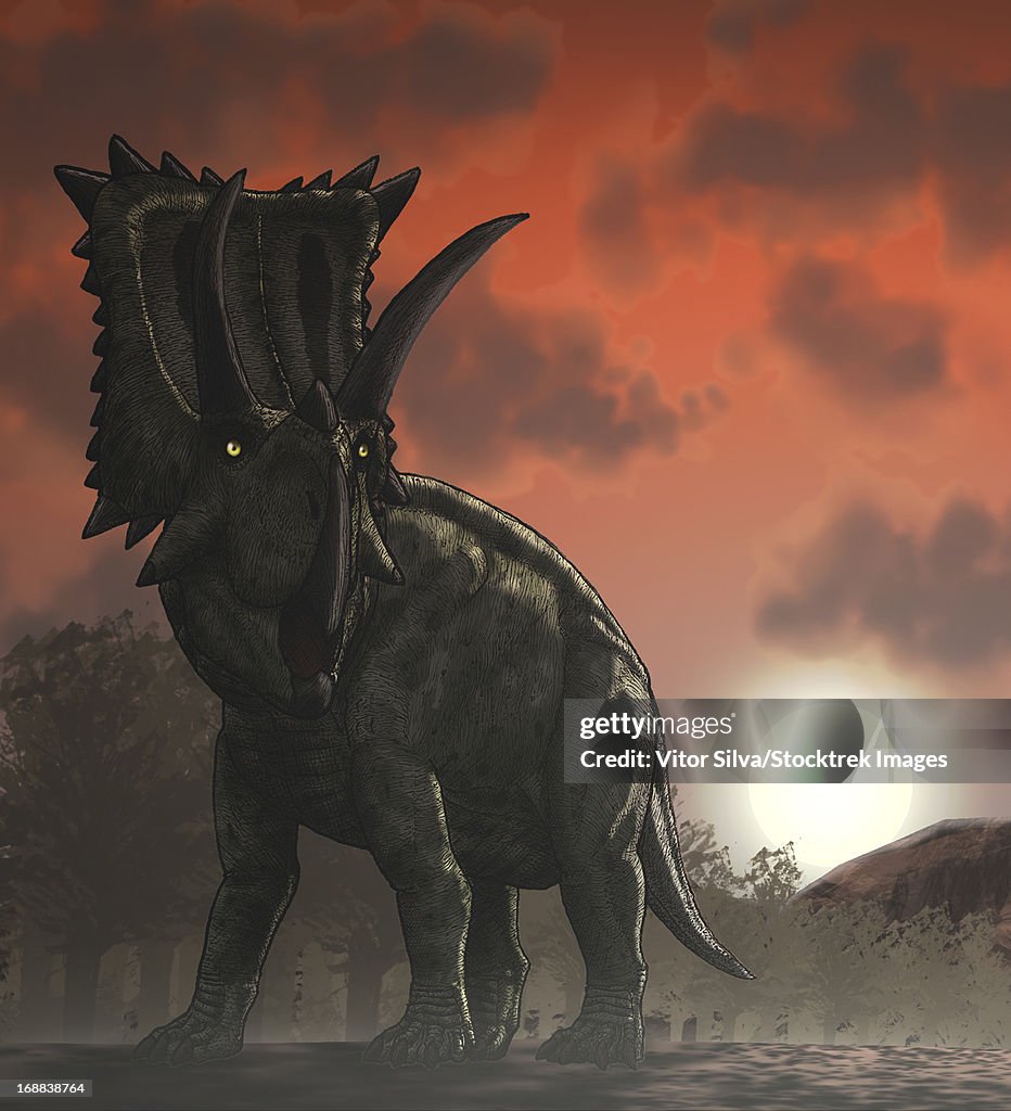 Coahuilaceratops walking through a Cretaceous sunset.