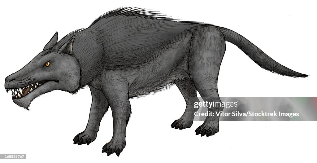 Andrewsarchus, an ungulate mammal from the Eocene epoch.