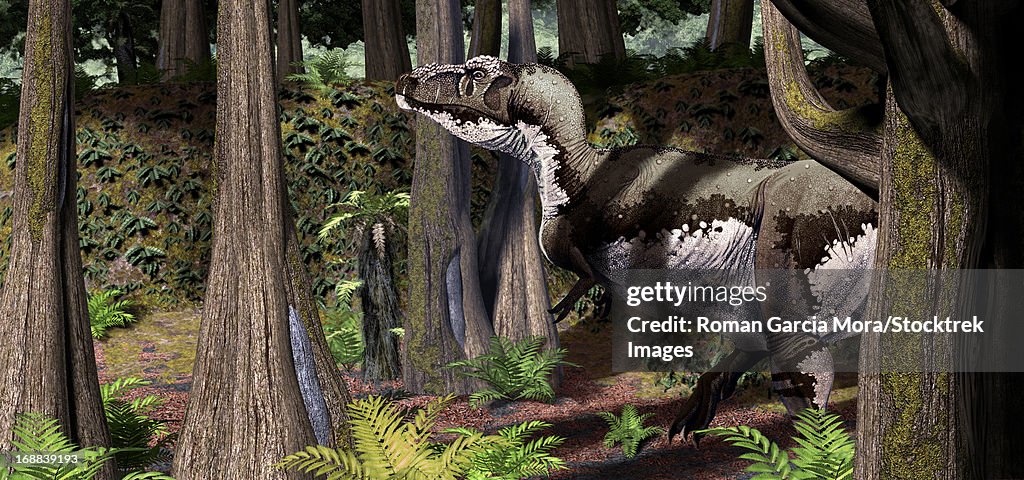 Tyrannosaurus rex patrolling their hunting grounds in the edges of a forest in North America during the Maastrichtian Age, Late Cretaceous.