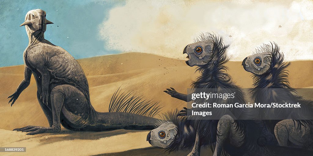 Three juveniles Psittacosaurus sinensis under the supervision of an adult.