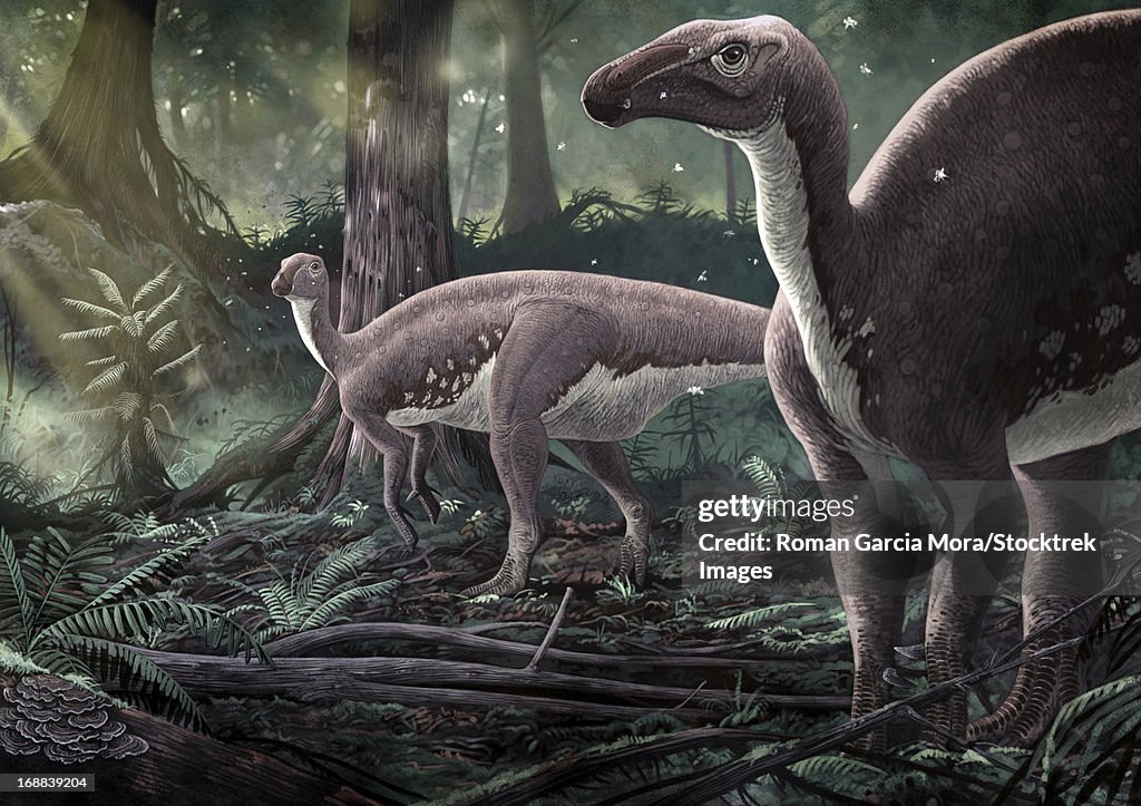 Mantellisaurus atherfieldensis dinosaurs in a prehistoric forest.