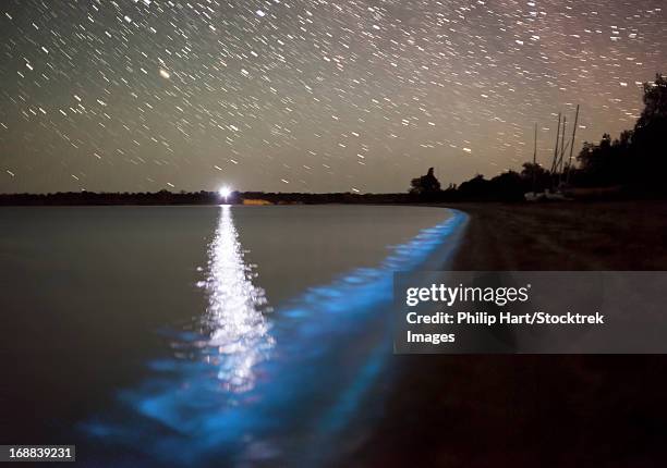 star trails and bioluminescence in the gippsland lakes, victoria, australia. - gippsland lakes stock pictures, royalty-free photos & images