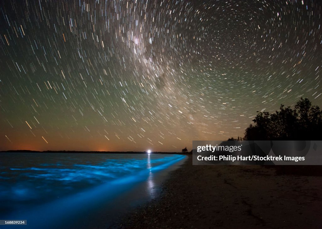 Star trails and bioluminescence in the Gippsland Lakes, Victoria, Australia.