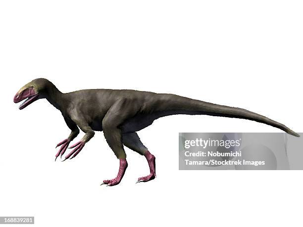 eotyrannus lengi, ealy cretaceous of england. - eotyrannus stock illustrations