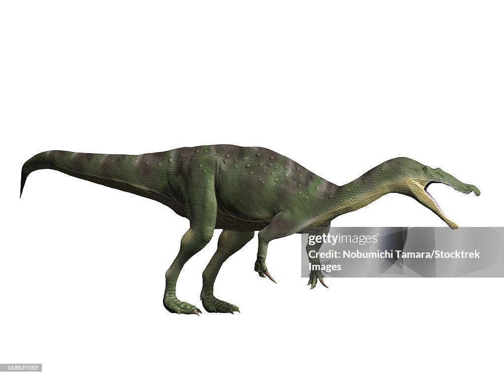 Baryonyx walkeri, Early Cretaceous of England.