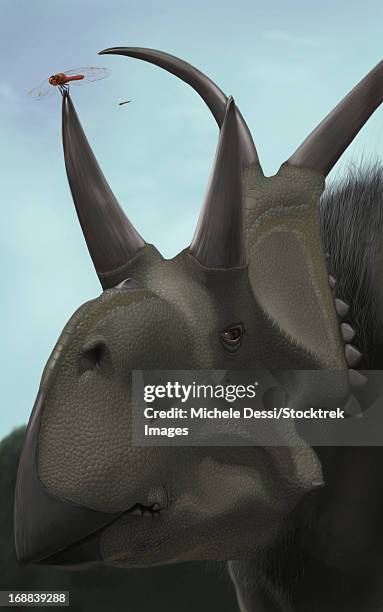 Closeup Of Diabloceratops High-Res Vector Graphic