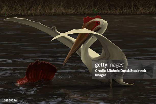 quetzalcoatlus hunting for food in a prehistoric lake. - day of the dead stock-grafiken, -clipart, -cartoons und -symbole