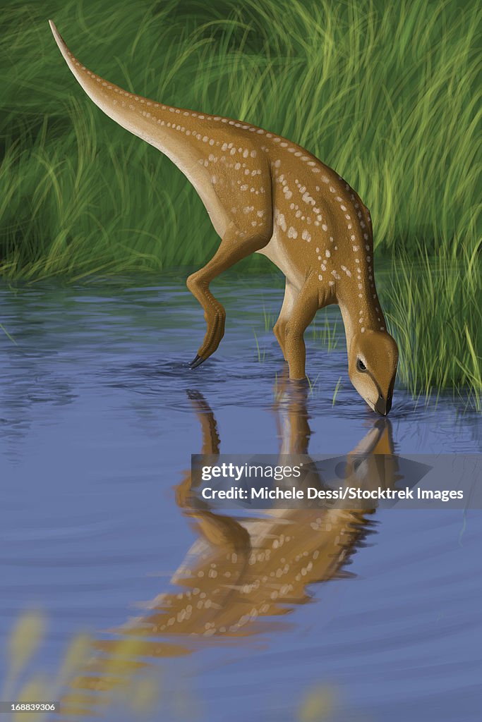 Hypsilophodon drinking water from a prehistoric lake.