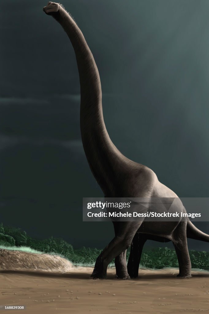 Brachiosaurus in a prehistoric landscape.