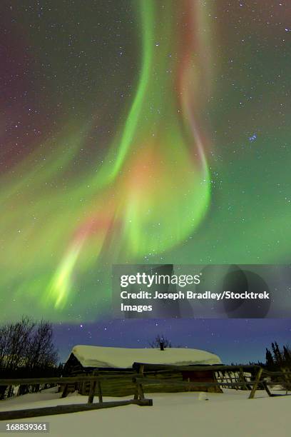 aurora borealis and orion's belt light up the sky above a log cabin at whitehorse, yukon, canada. - orion belt stock pictures, royalty-free photos & images