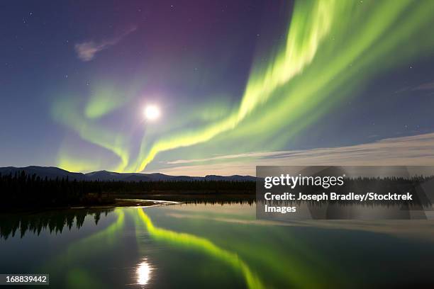 aurora borealis and full moon over the yukon river, whitehorse, yukon, canada. - whitehorse bildbanksfoton och bilder