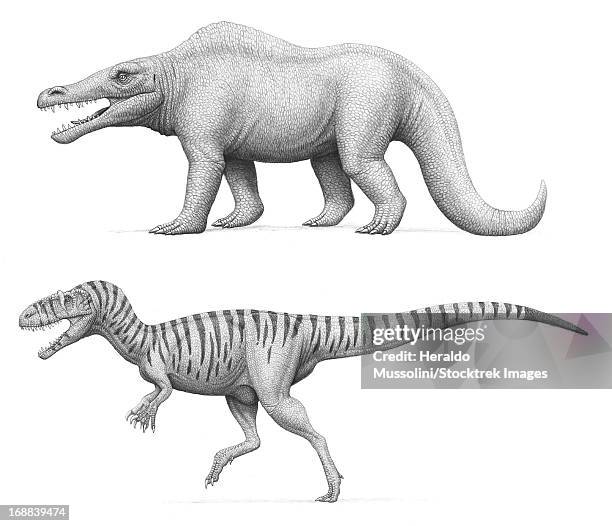 artist's concept of megalosaurus bucklandii, past and present. - paläobiologie stock-grafiken, -clipart, -cartoons und -symbole