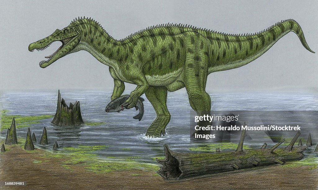 A Baryonyx walkeri dinosaur catches a fish as it's next meal.