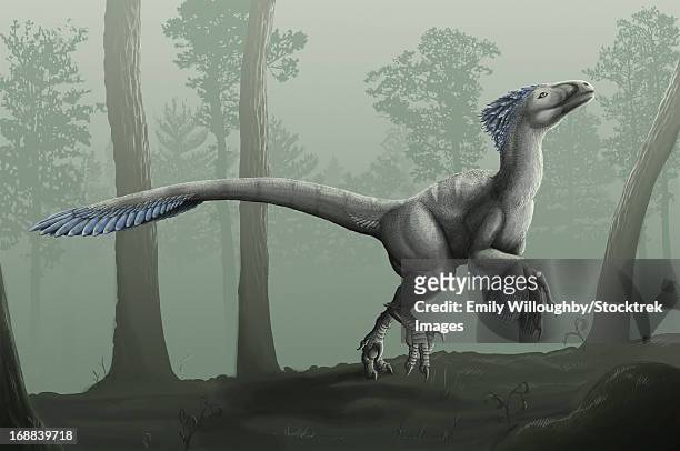 deinonychus antirrhopus in a misty forest. - velociraptor stock-grafiken, -clipart, -cartoons und -symbole