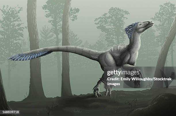 ilustraciones, imágenes clip art, dibujos animados e iconos de stock de deinonychus antirrhopus in a misty forest. - velociraptor