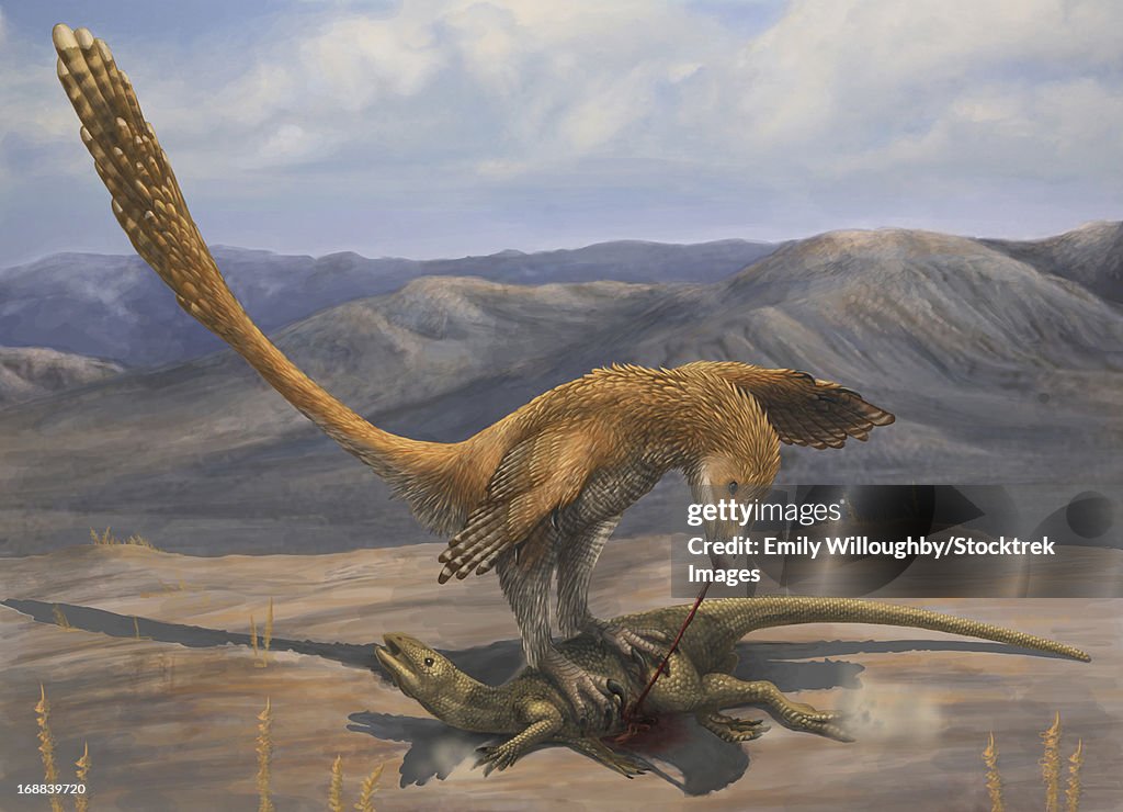 A Deinonychus feeds on the carcass of Zephyrosaurus, a small Cretaceous ornithopod.