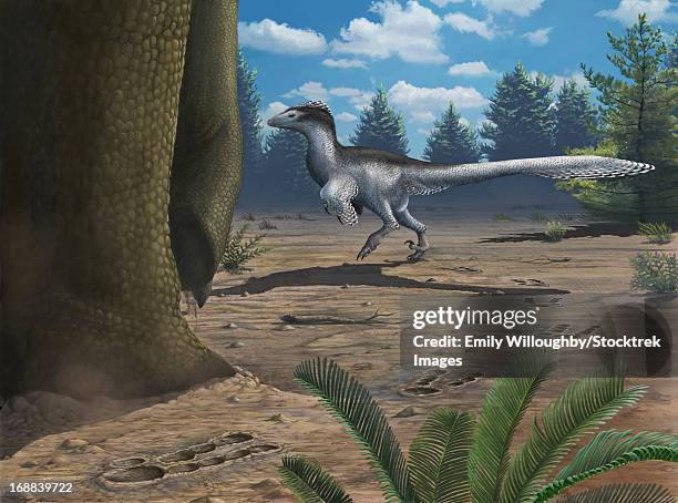 a deinonychosaur theropod leaves tracks across a cretaceous china landscape. - velociraptor stock-grafiken, -clipart, -cartoons und -symbole