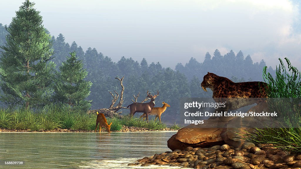 A saber-toothed cat looks across a river at a family of deer.