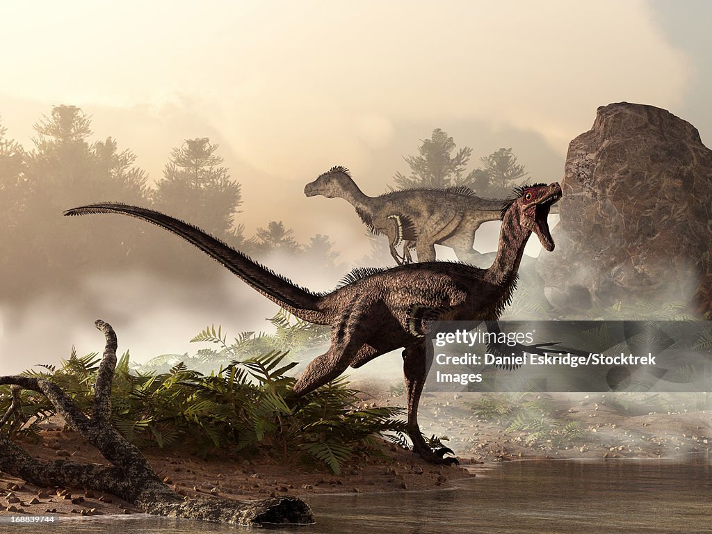 A pair of velociraptors patrol the shore of an ancient lake looking for their next meal.