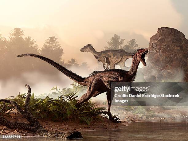 ilustrações, clipart, desenhos animados e ícones de a pair of velociraptors patrol the shore of an ancient lake looking for their next meal. - velociraptor