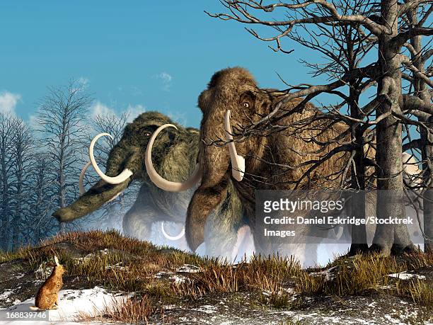 stockillustraties, clipart, cartoons en iconen met a rabbit witnesses a herd of mammoths in a snowy forest. - animal trunk