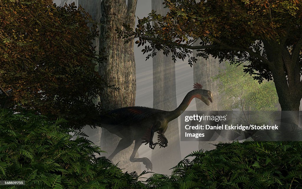 Gigantoraptor in a dense prehistoric forest.