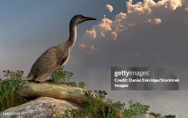 hesperornis on the shoreline. - dinosaurs evolution stock illustrations